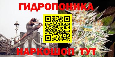 первитин Партизанск