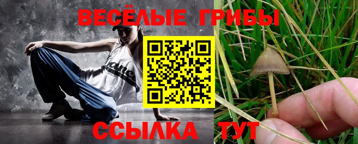 Псилоцибиновые грибы GOLDEN TEACHER Сатка